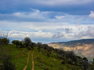 umm qais - irbid, jordan 06- Feb- 2023 - hike trail at umm qais, irbid, jordan - cloudy sky  and green fields
