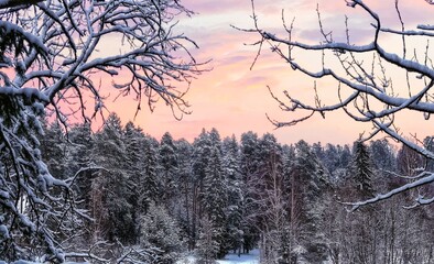 sunset in winter