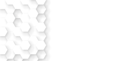 Background with hexagons . Abstract background with lines . white texture background . white and hexagon abstract background. white paper texture and futuristic business .