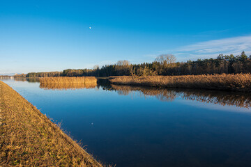 sonniger Wintertag in den Donauauen bei Günzburg, Donaumoos