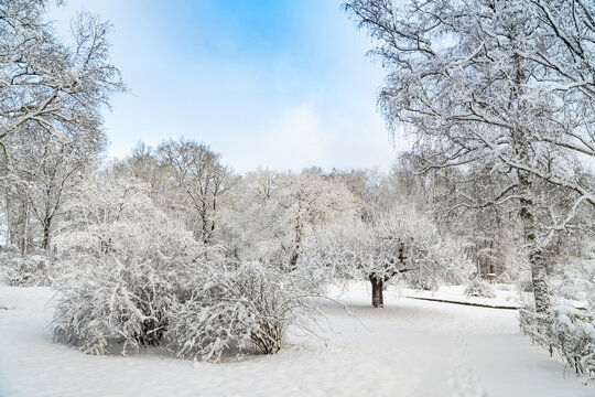 Winterlandschaft