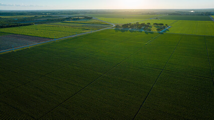 Sunset over Homestead