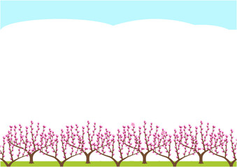 Obraz premium Background of peach orchard in early spring