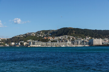 Fototapeta na wymiar Wellington City harbor and downtown. Buildings are in central business district.