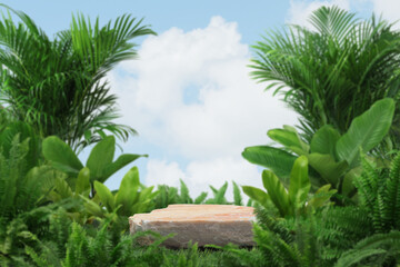 empty stone podium on green grass with tropical forest plant blur cloud blue sky background with...