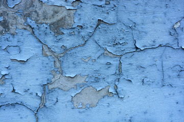The gray flat concrete wall painted long ago with blue, light blue paint has already cracked, deep cracks on the wall are visible and it has peeled off in a long time. - obrazy, fototapety, plakaty