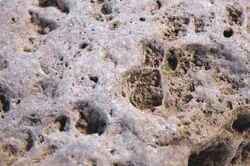The background formed by the surface of a natural stone with a lot of holes