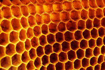 Yellow Honeycomb closeup structure