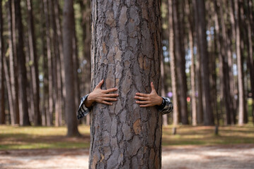 Woman hugging a big tree in the outdoor forest