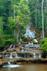 Naklejka premium Jungle and waterfall stock photo