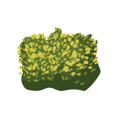 Vector of colored detailed bushes. Landscape elements isolated on white background.