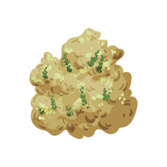 Vector of colored detailed bushes. Landscape elements isolated on white background.