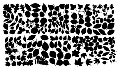 leaves silhouette set