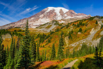 Autumn colors at Mount Rainier. Amazing fall colors and snow capped mountain