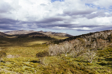 Snowy Mountains View on Cascade Hut Trail in Australia