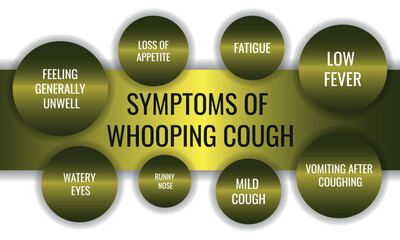 symptoms of Whooping cough. Vector illustration for medical journal or brochure.