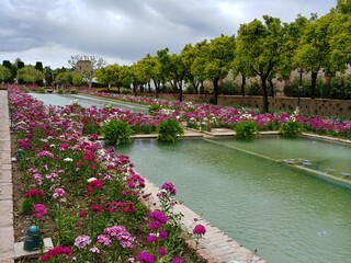 the garden of  the Alcázar of Córdoba