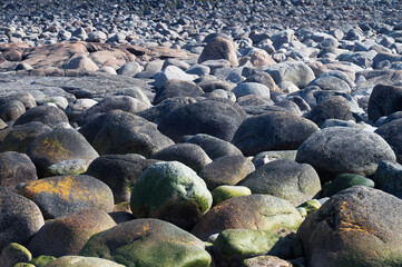 Obraz premium large stones on the seashore. Teriberka, Murmansk region