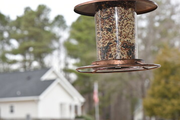 bird on a feeder.
bird house on a branch.