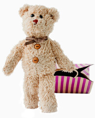 A happy teddy bear is shopping, shopping online - 570661229