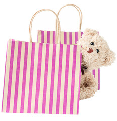 A happy teddy bear is shopping, shopping online - 570661273