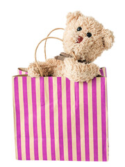 A happy teddy bear is shopping, shopping online - 570661290