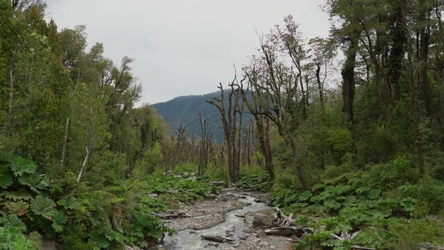 river running through the volcanic landscape of Chaiten
