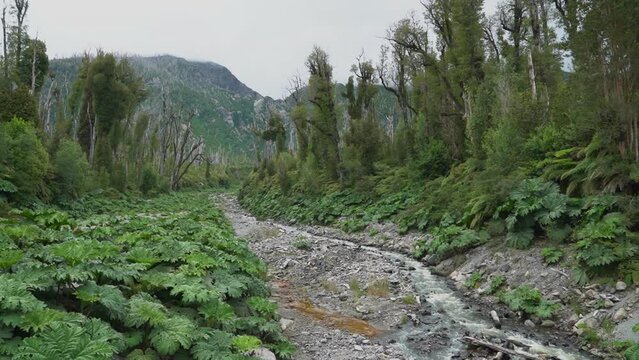 river running through the volcanic landscape of Chaiten