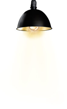 lamp isolated