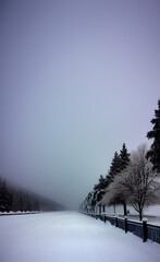 Cold winter snow landscape frozen frost trees snowy ski scene beautiful path outdoors ULTRA HD