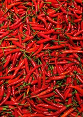Fresh Red Hot Chillies pile Background. Top view.