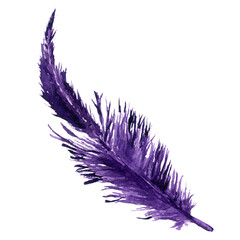 Watercolor purple carnival feather, hand drawn, french traditional mardi gras symbol.