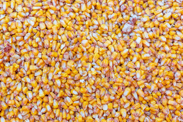 Close up of corn seeds can be use as background