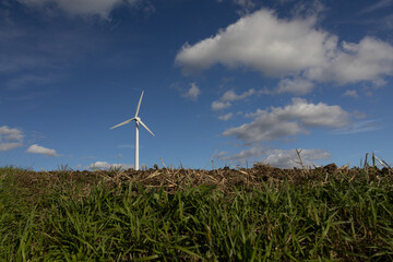 A wind turbine in a field under a blue summer sky with white clouds