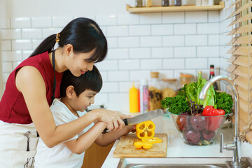 Happy cheerful mother and her little boy preparing a foods and vegetables in domestic kitchen together. Mum teaching her little son to cooking in kitchen.