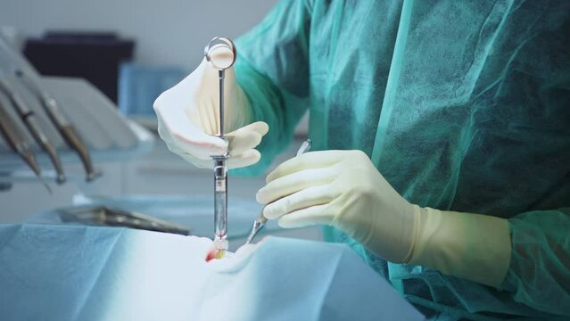 The hands dentist holds injects anaesthesia into the teeth. Hydience and healthy. Patient