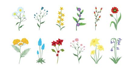 Hand-drawn spring flowers collection