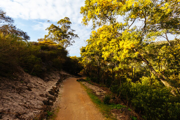Briseis Hole in Derby Tasmania Australia