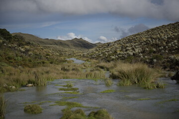 lake in the mountains