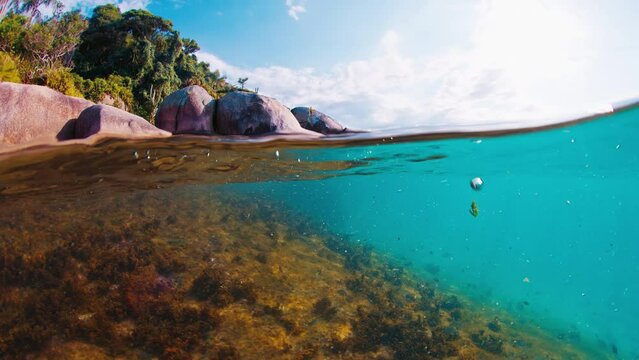 Splitted underwater view of the rock and sea bottom. Campeche island in Florianopolis in Brazil
