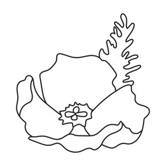 Poppy flower vector outline icon. Vector illustration poppy on white background. Isolated outline illustration icon of elower.