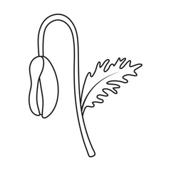 Poppy flower vector outline icon. Vector illustration poppy on white background. Isolated outline illustration icon of elower.
