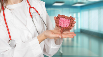 Doctor holds intestines. Gastrointestinal tract in woman hand. Intestinal tract care. Girl doctor showing intestines. Bowel mock up in hands. Intestines health. Human digestive system