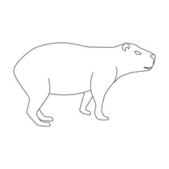 Rat vector icon.Outline vector icon isolated on white background rat.