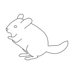 Rat vector icon.Outline vector icon isolated on white background rat.