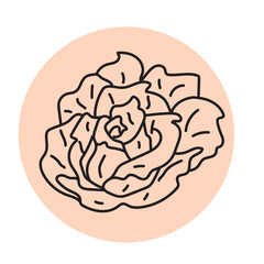 outline silhouette rose flower with pink circle, stylish print fot t-shirt, trendy poster,color illustration for card