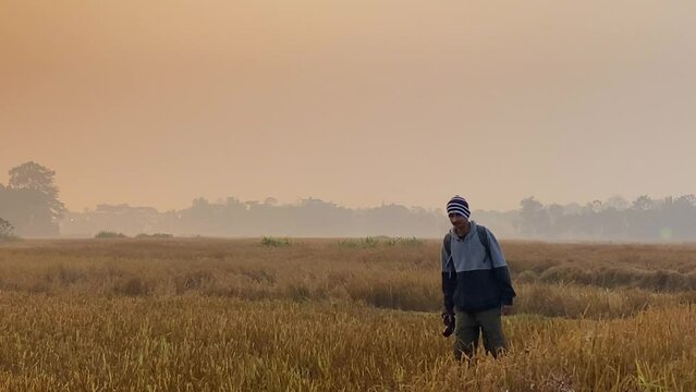 Man with DSLR camera wonders through paddy field by Gas Plant, tracking shot