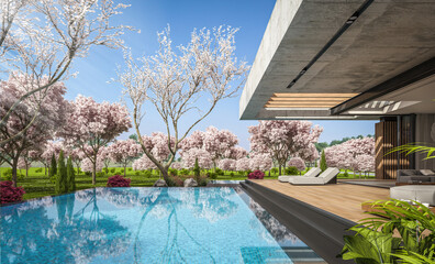 Fototapeta na wymiar 3d rendering of new concrete house in modern style with pool and parking for sale or rent and beautiful landscaping on background. Fresh spring day with a blooming trees with flowers of sakura.