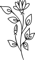 Line art flower. Line art hand drawn stile linear flower. PNG with transparent background