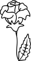 Line art flower. Line art hand drawn stile linear flower. PNG with transparent background
